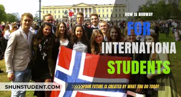 International Students: Norway's Appeal and Opportunities