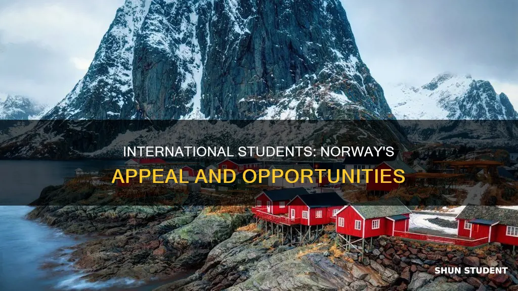 how is norway for international students