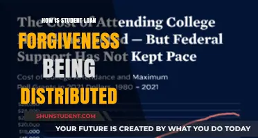 Understanding the Distribution Process of Student Loan Forgiveness Programs