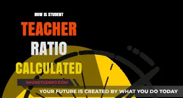 Understanding Student-Teacher Ratio Calculation: A Comprehensive Guide for Educators
