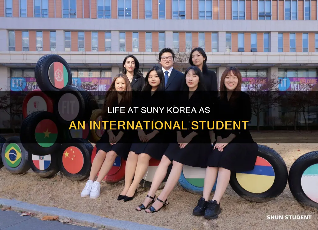 how is suny korea for international students review