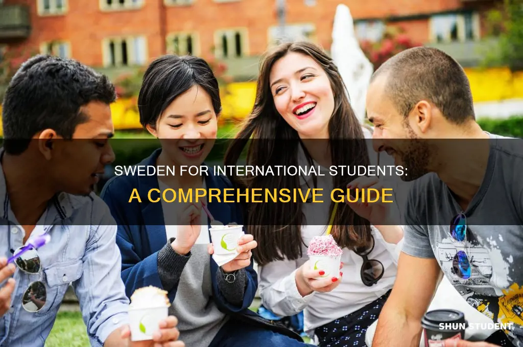 how is sweden for international students