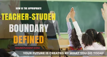Defining Teacher-Student Boundaries: Balancing Respect, Professionalism, and Support