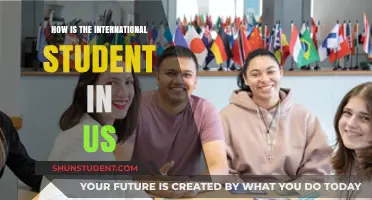 Life as an International Student in the US
