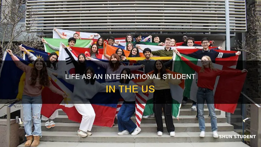 how is the international student in us