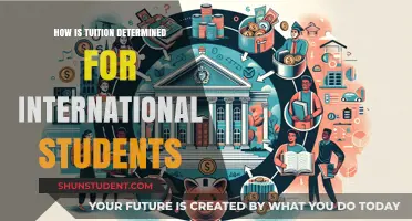 Tuition Fees for International Students: What Determines the Cost?