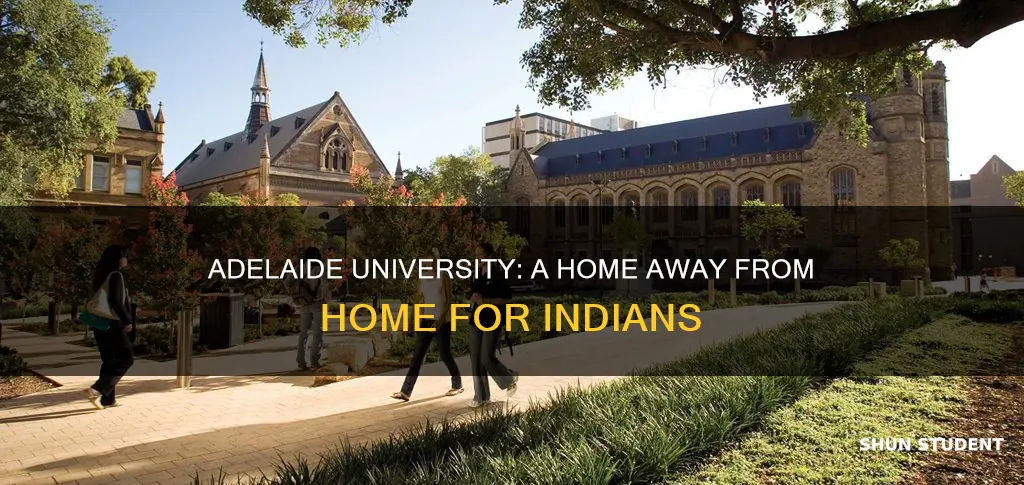 how is university of adelaide for indian students