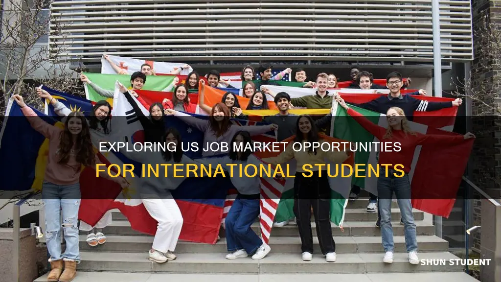 how is us market for international students