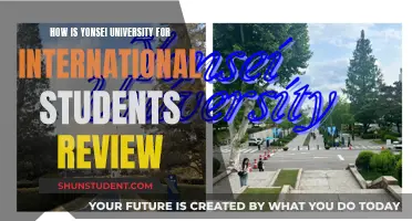 Yonsei University: A Haven for International Students?