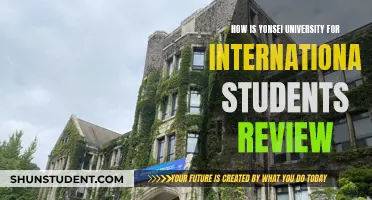 Yonsei University: An International Student's Review
