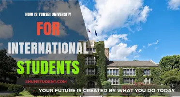 Yonsei University: A Global Student's Perspective