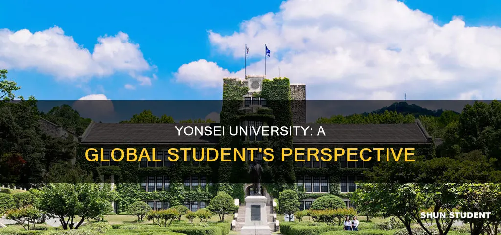how is yonsei university for international students