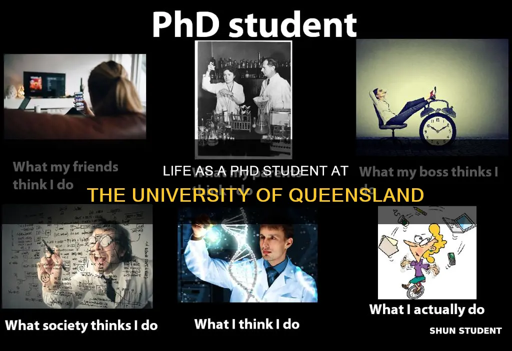 how it is to be phd student university of queensland
