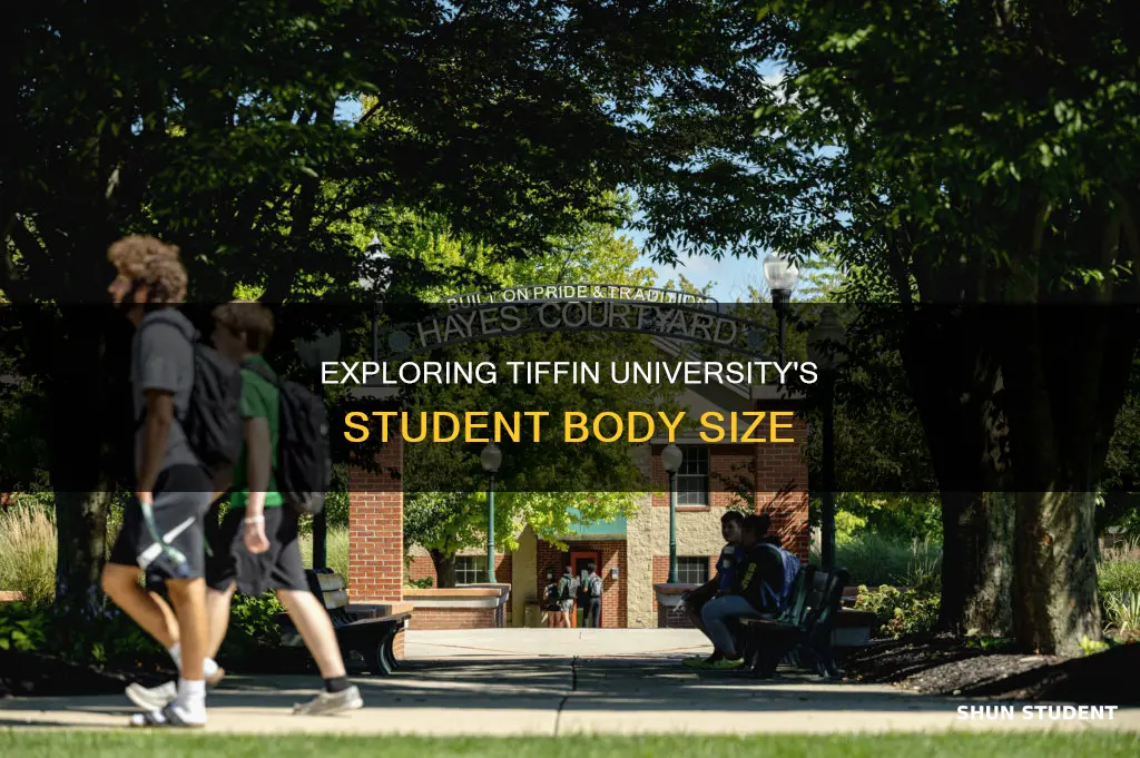 how large is the student body at tiffin university