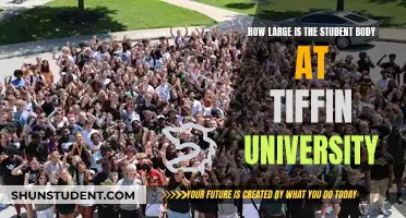 Tiffin University: A Small Student Body, Big Opportunities