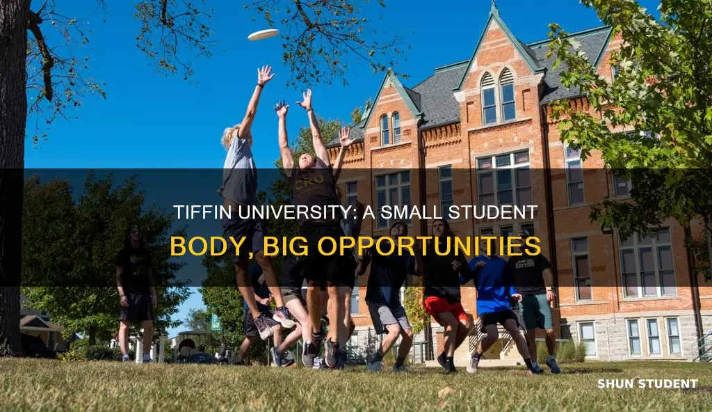 how large is the student body at tiffin university