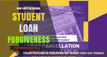 Federal Student Loan Forgiveness: Realistic Expectations and Current Outlook