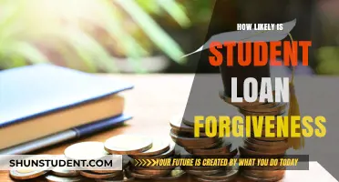 Is Student Loan Forgiveness a Real Possibility for Borrowers?
