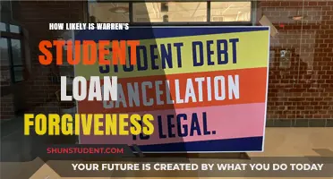 Warren's Student Loan Forgiveness Plan: Realistic Hope or Distant Dream?