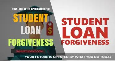 Student Loan Forgiveness Timeline: When to Expect Relief After Applying