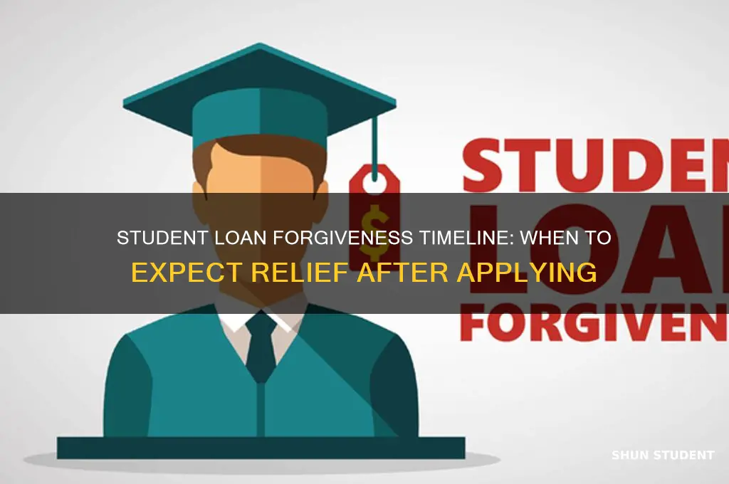 how long after application for student loan forgiveness