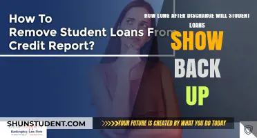 When Do Student Loans Reappear After Discharge? A Timeline Guide