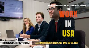 International Students: Work in the USA After Graduation