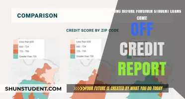 When Do Forgiven Student Loans Disappear from Your Credit Report?