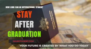 Exploring Post-Graduation Options for International Students