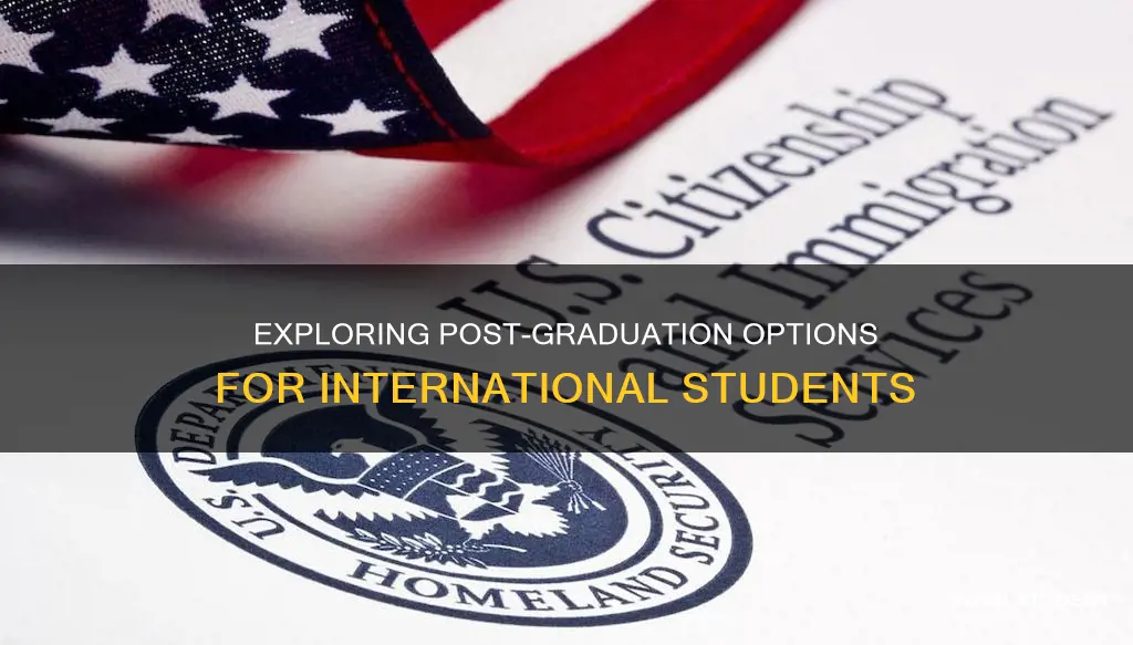 how long can an international student stay after graduation