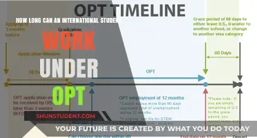 OPT Work Authorization: How Long is it Valid?