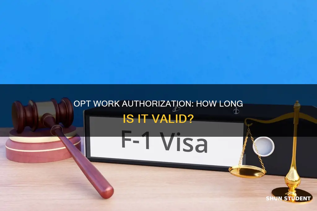 how long can an international student work under opt