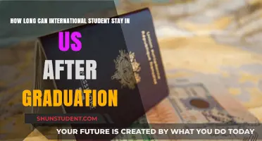 International Students: Post-Graduation Stay Options in the US