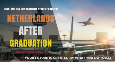 Exploring Post-Study Visa Options in the Netherlands