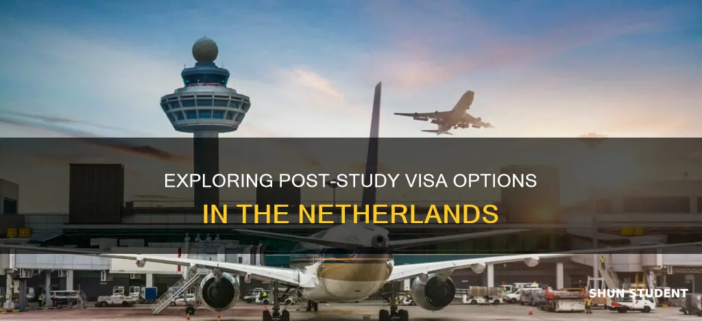 how long can international students stay in netherlands after graduation