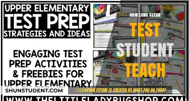 Effective Teaching Strategies for Clean Testing in Student Education