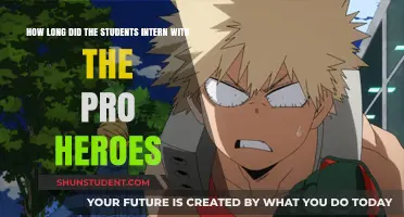 Summer of Heroes: Internships and Adventures