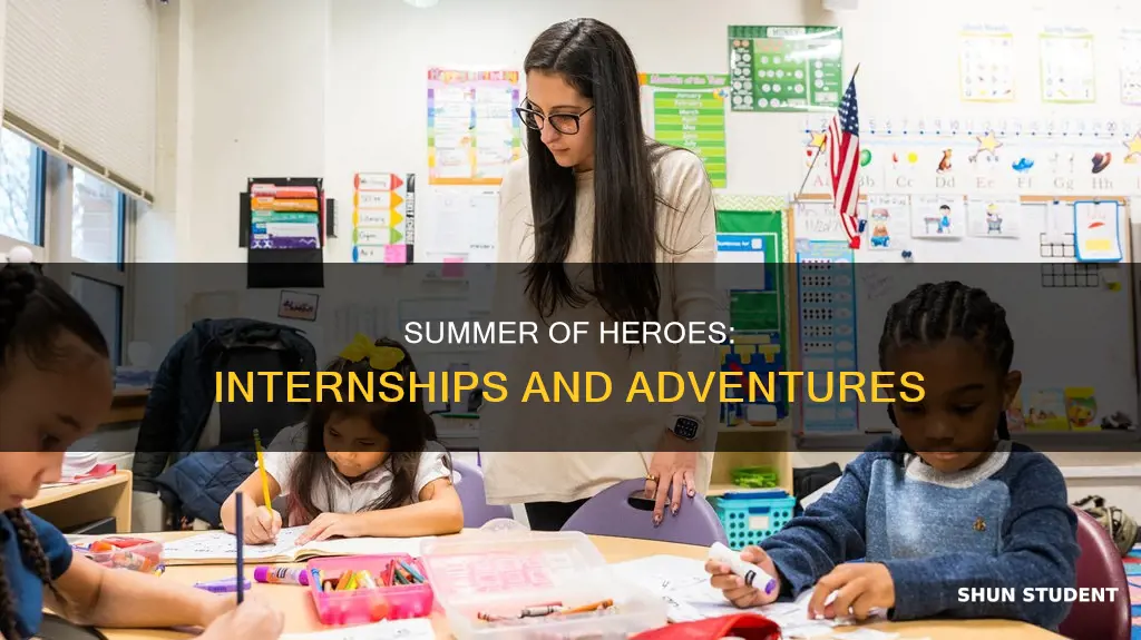 how long did the students intern with the pro heroes