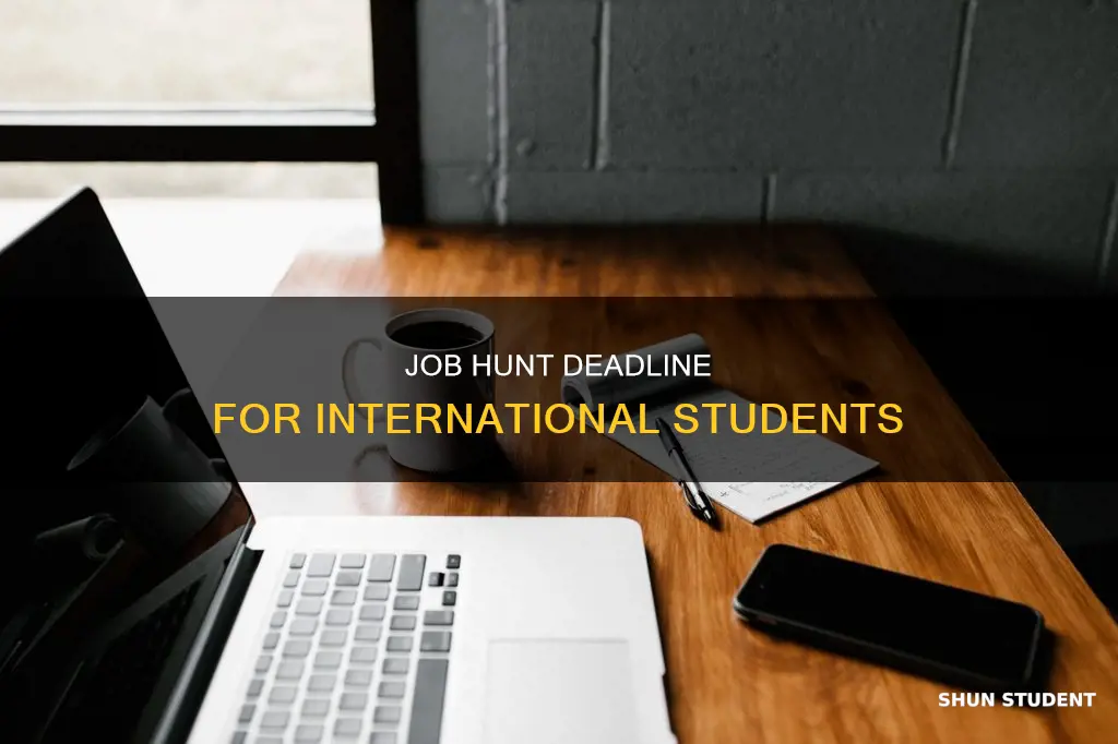 how long do international students have to find a job