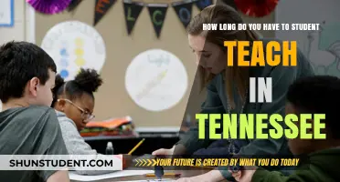 Tennessee Student Teaching Duration: What to Expect and How Long It Lasts
