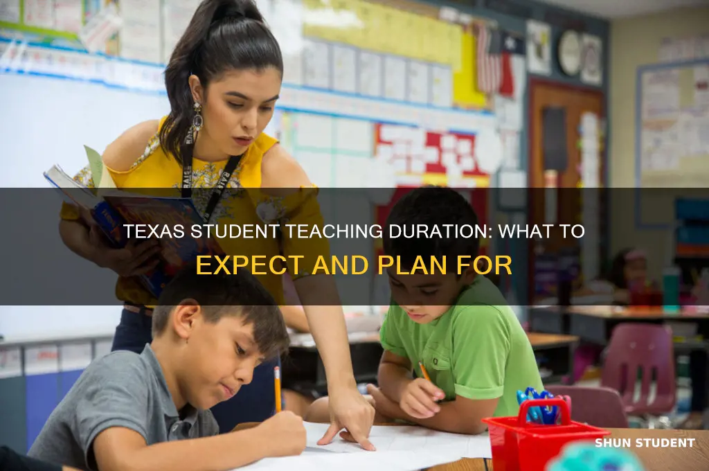 how long do you have to student teach in texas