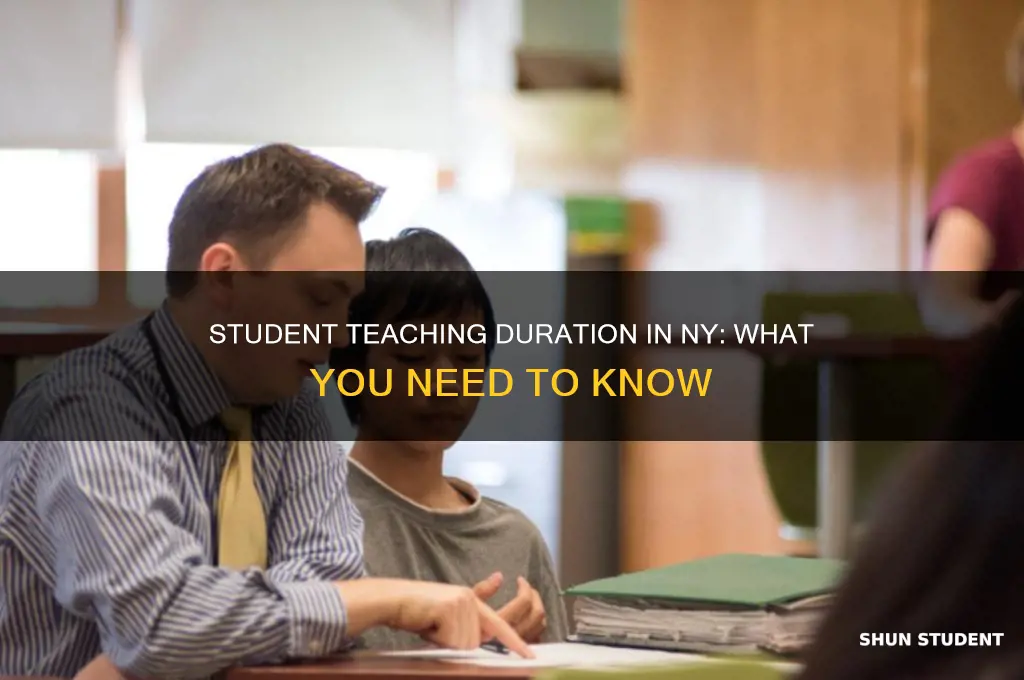 how long do you have to student teach ny