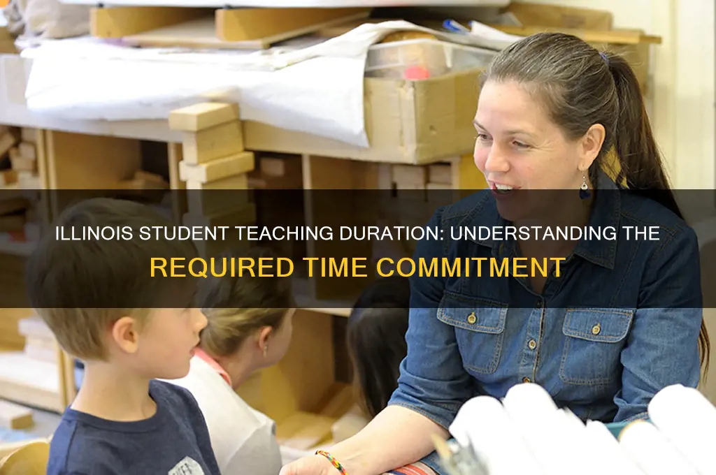 how long do you student teach for illinois