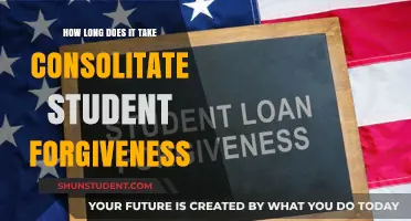 Understanding the Timeline for Consolidating Student Loan Forgiveness Programs