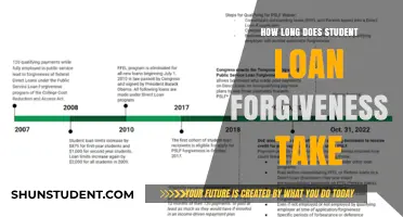 Understanding the Timeline for Student Loan Forgiveness: What to Expect