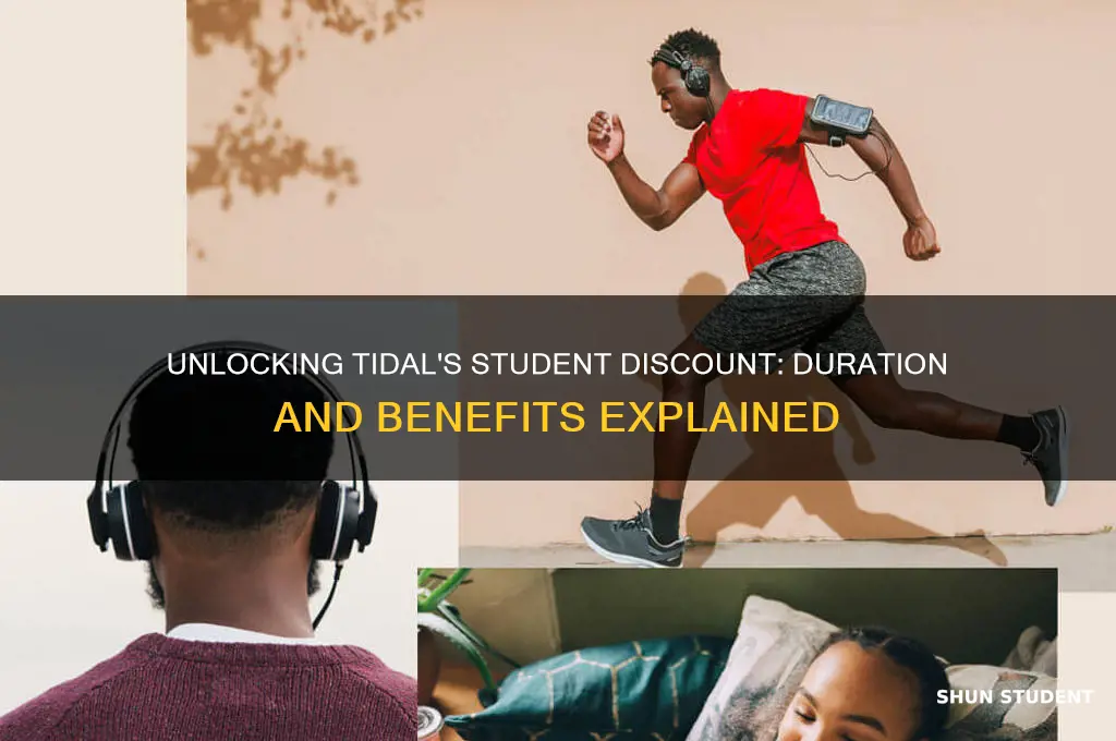 how long does tidal student discount last