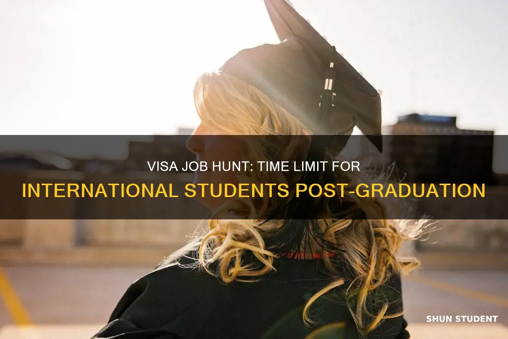 how long international student allow to find job after graduation