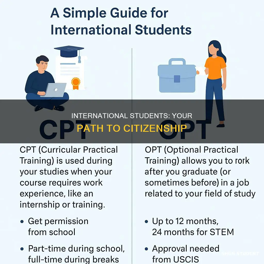 how long international student can take citzenship