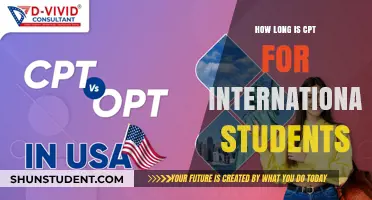 CPT Duration for International Students: Understanding the Timeline