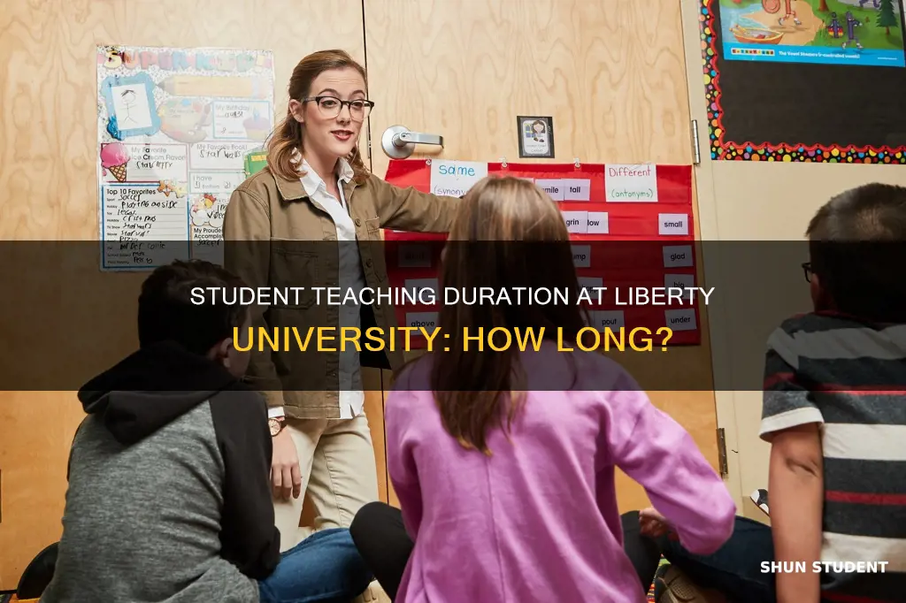 how long is student teaching at liberty university